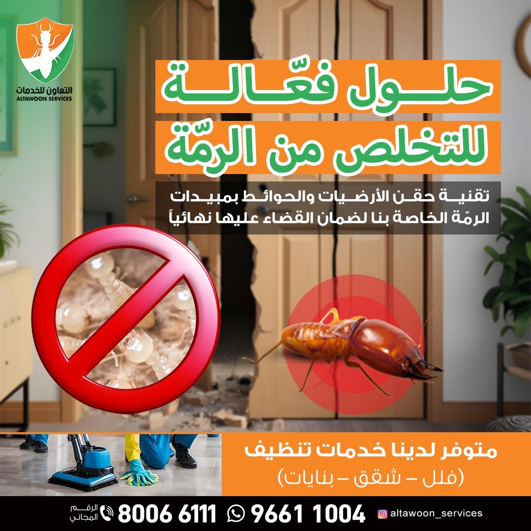 أفضل 5 شركات لمكافحة النمل الأبيض في مسقط مع ضمان