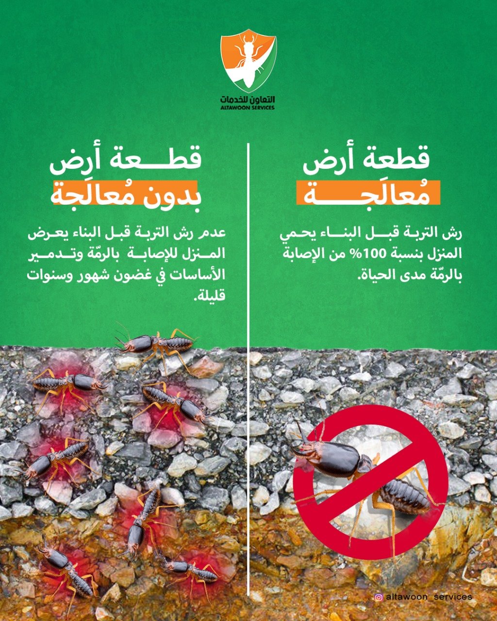 شركة مكافحة حشرات في مسقط مع مبيدات آمنة للأطفال