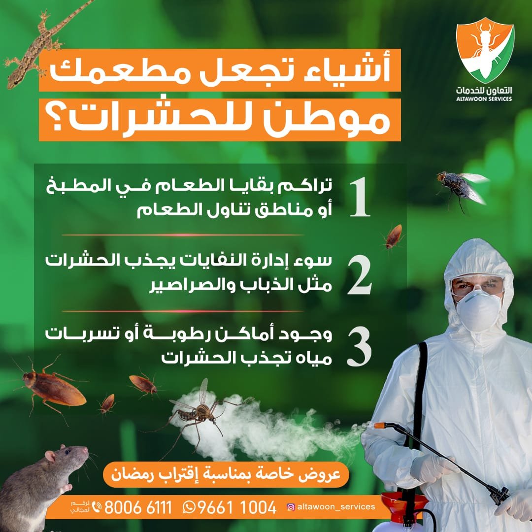 أفضل 5 شركات لمكافحة النمل الأبيض في مسقط مع ضمان